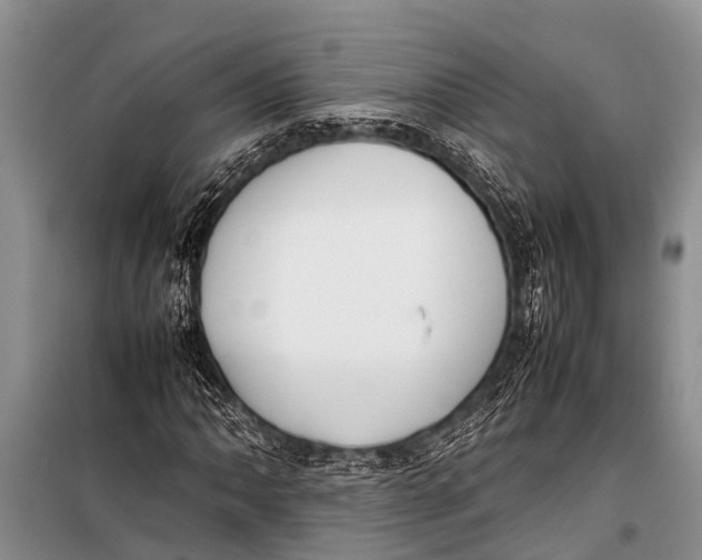 X0000098191062200805151200