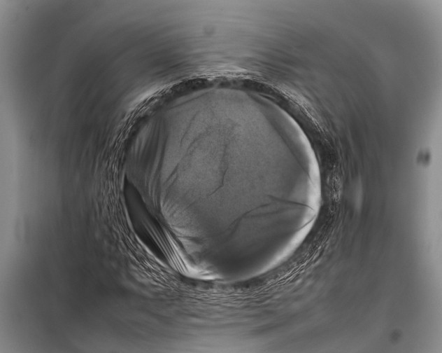 X0000098191063200805151159
