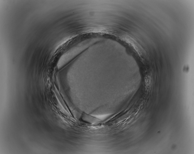 X0000098191064200805151159