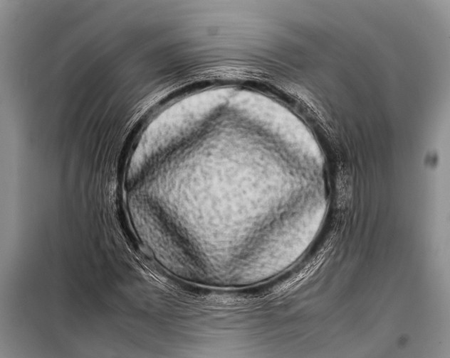 X0000098191065200805151159