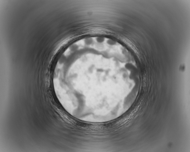 X0000098191067200805151159