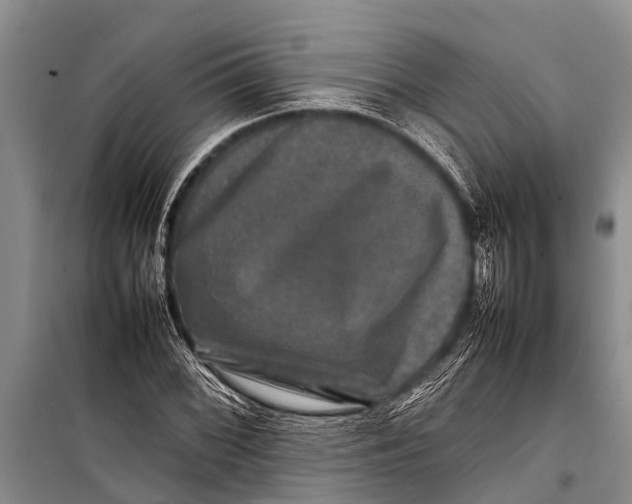 X0000098191068200805151159