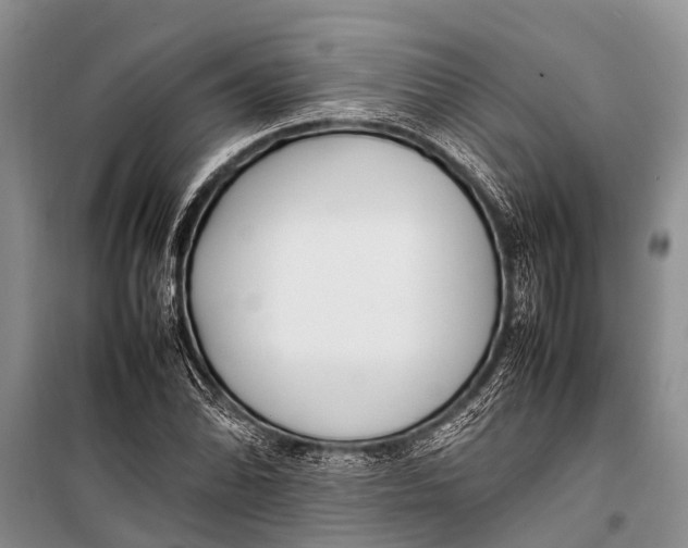 X0000098191070200805151159