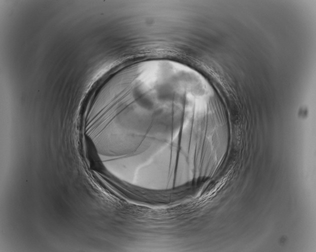 X0000098191071200805151159
