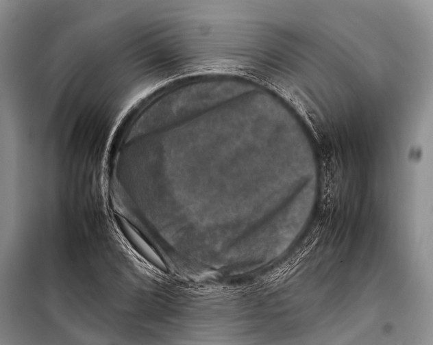 X0000098191072200805151159