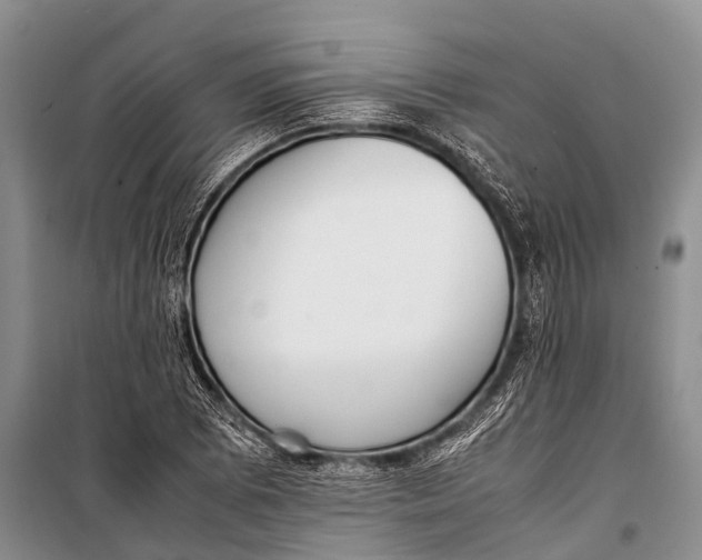 X0000098191073200805151159