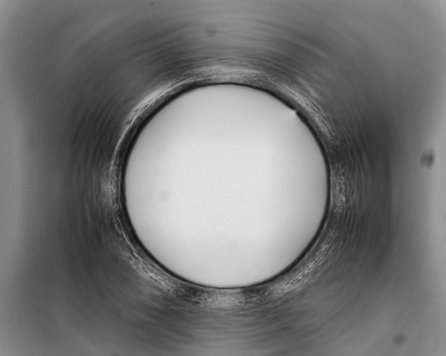 X0000098191074200805151159