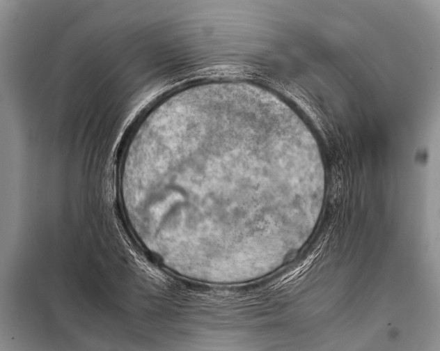 X0000098191075200805151159