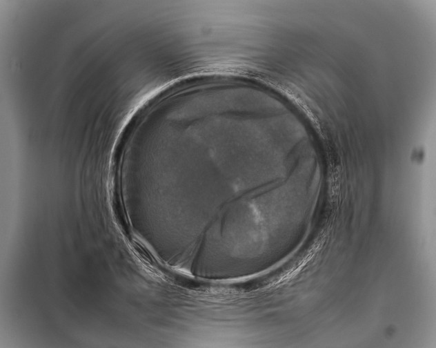 X0000098191077200805151159