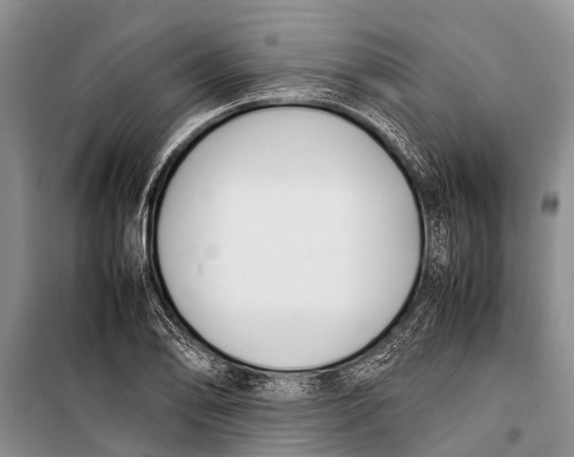 X0000098191078200805151159