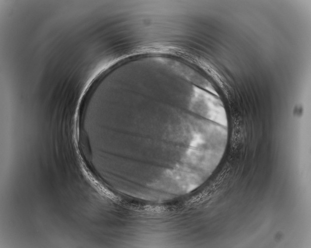 X0000098191080200805151159