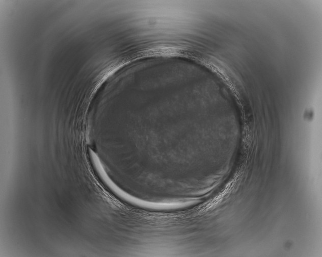 X0000098191081200805151159