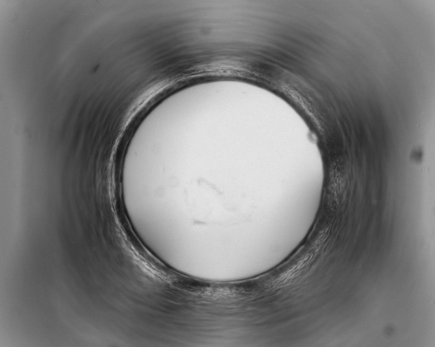 X0000098191082200805151159