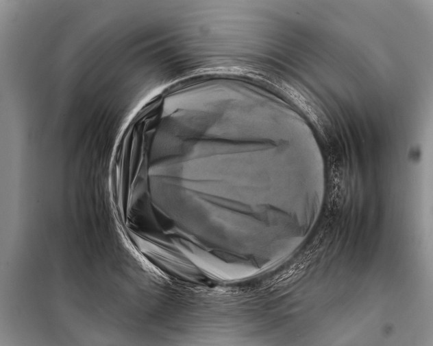 X0000098191084200805151159