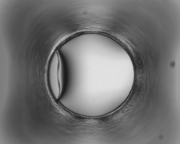 X0000098191085200805151159
