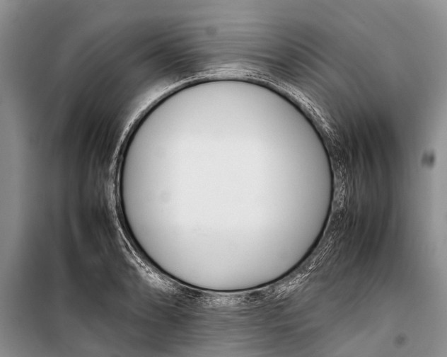 X0000098191086200805151159