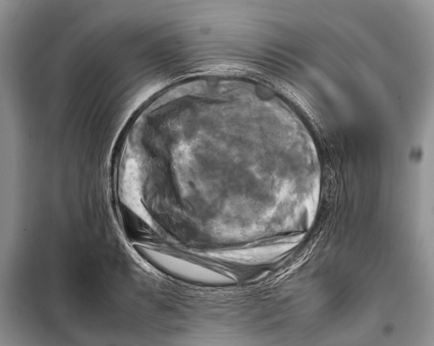 X0000098191087200805151159