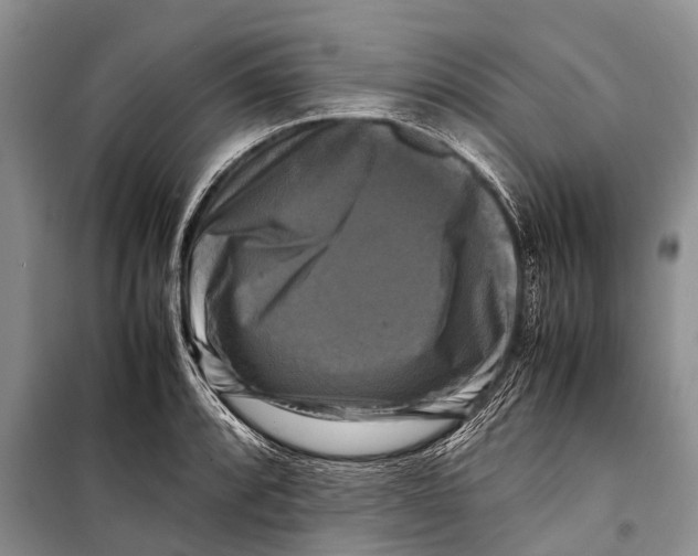 X0000098191088200805151159