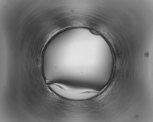 X0000098191089200805151159