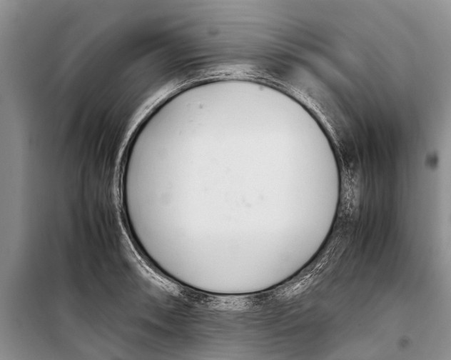 X0000098191090200805151159