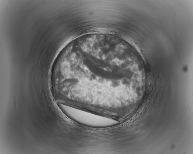 X0000098191091200805151159