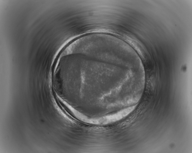 X0000098191092200805151159