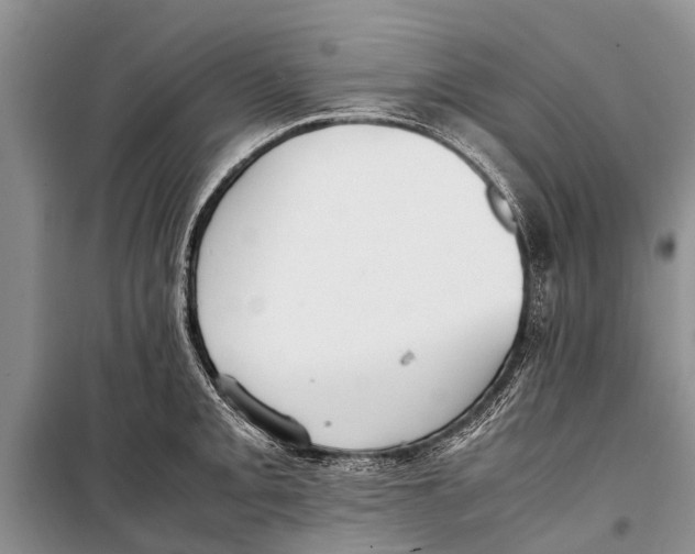 X0000098191093200805151159