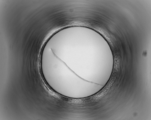 X0000098191094200805151159