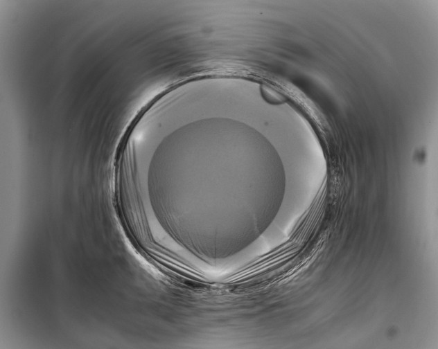 X0000098191095200805151159