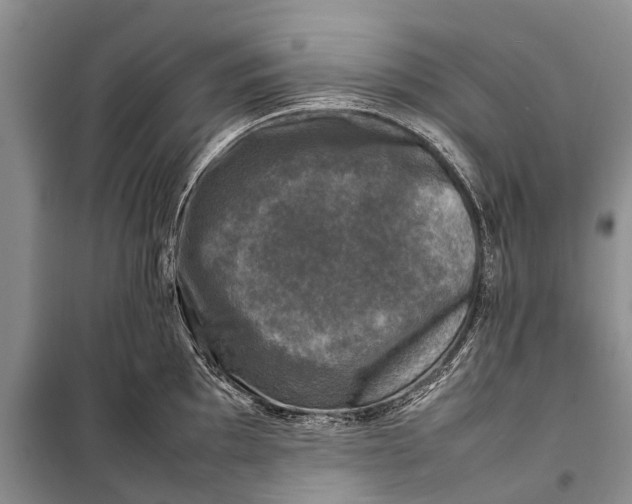 X0000098191097200805151159