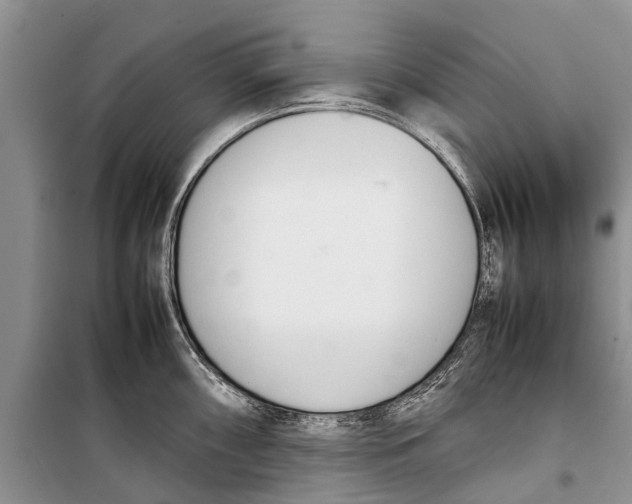 X0000098191098200805151159