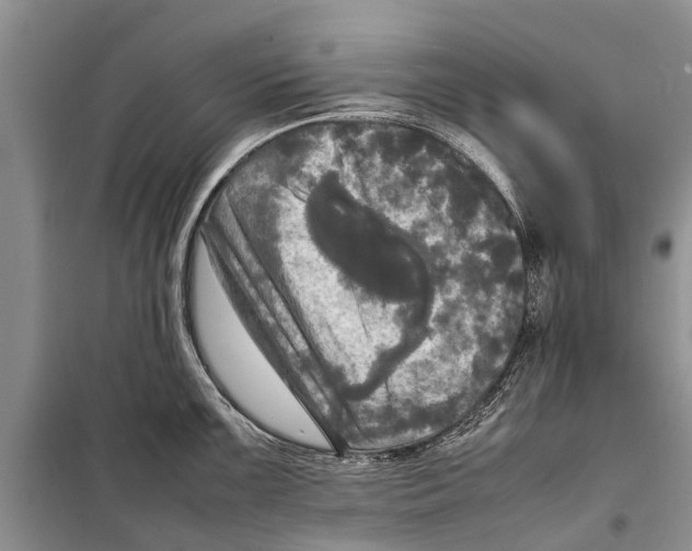 X0000098191099200805151159