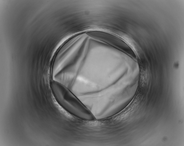 X0000098191100200805151159