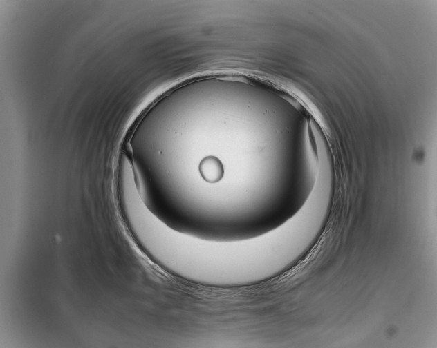 X0000098191101200805151159