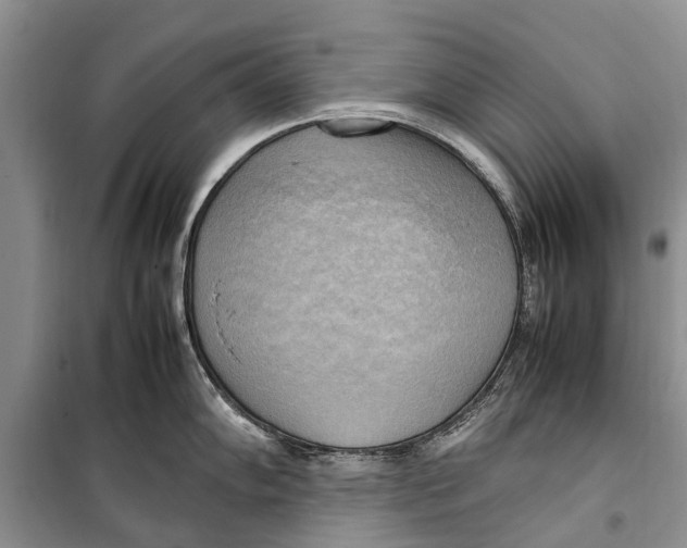 X0000098191102200805151159
