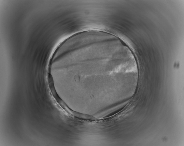 X0000098191104200805151159