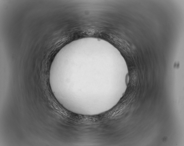 X0000098191105200805151158