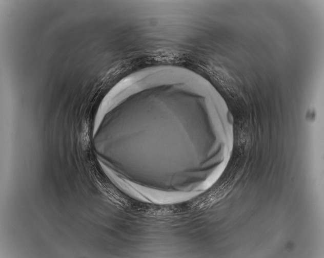 X0000098191106200805151158