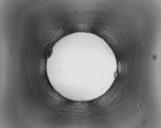 X0000098191107200805151158