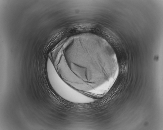 X0000098191108200805151158