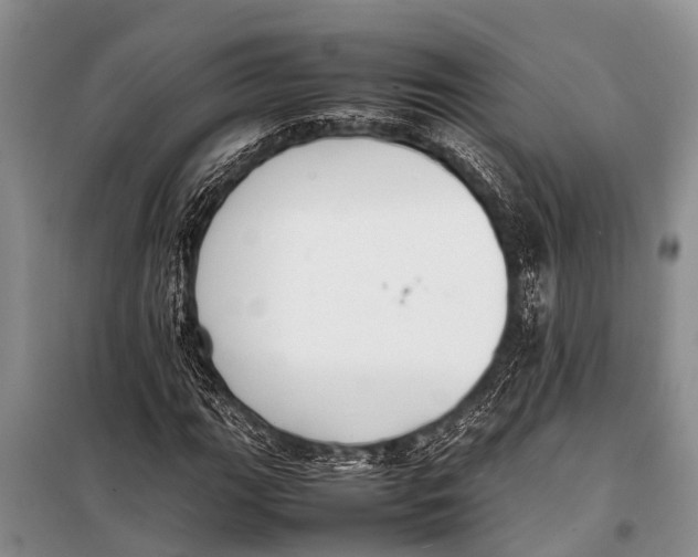 X0000098191111200805151158
