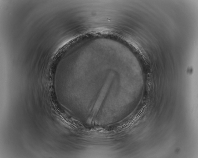 X0000098191112200805151158