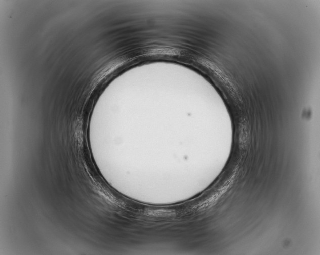 X0000098191113200805151158