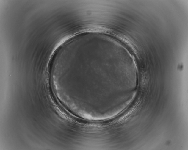 X0000098191114200805151158