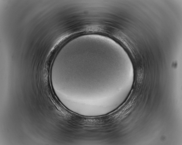X0000098191115200805151158