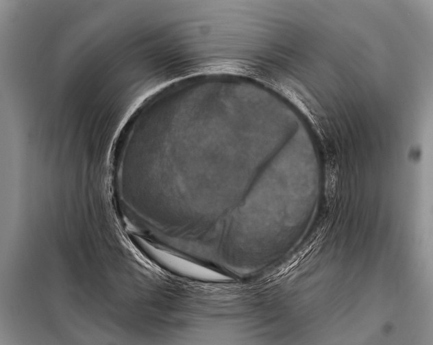 X0000098191116200805151158
