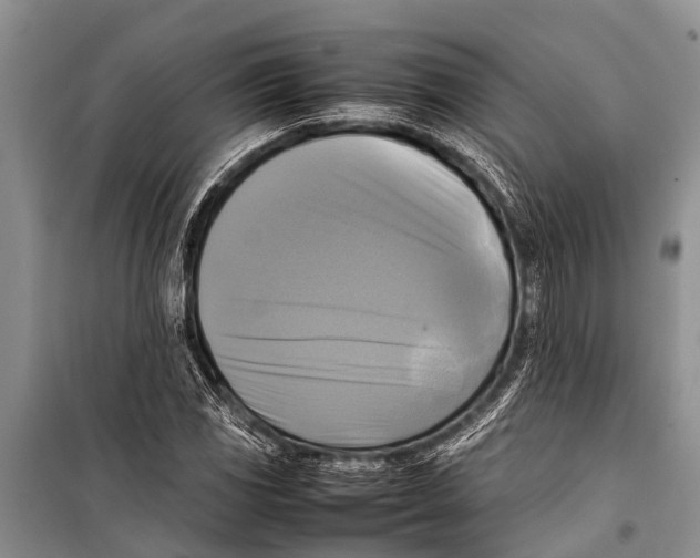 X0000098191117200805151158