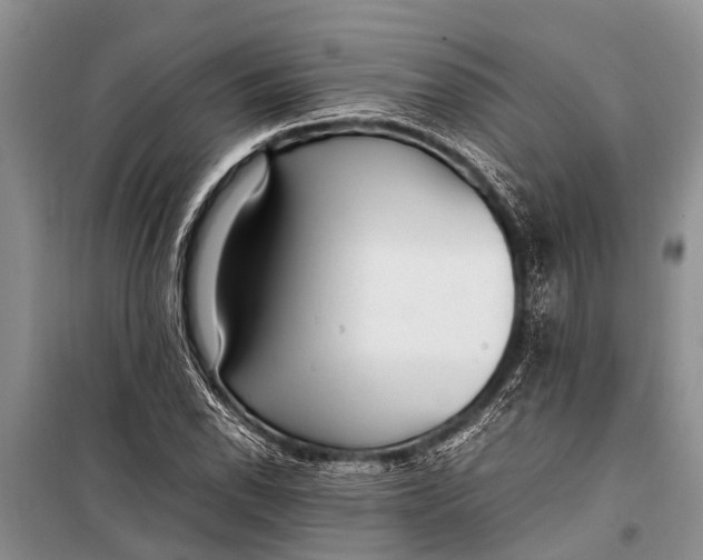 X0000098191118200805151158