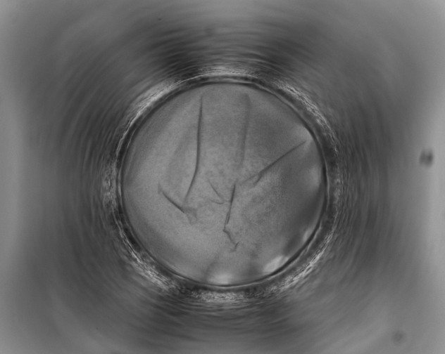 X0000098191121200805151158