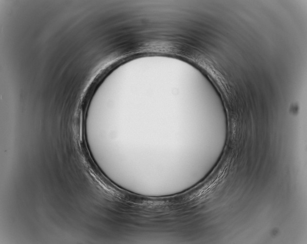 X0000098191123200805151159